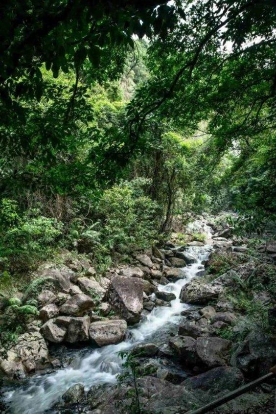 网红扎堆到麦地直播，是帮忙还是添乱？
