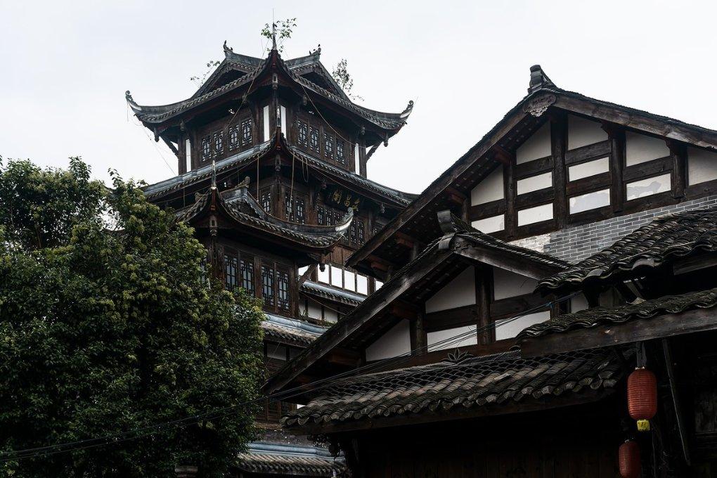 斗罗：史莱克七怪又集体换上了绿衣服，江楠楠绿配紫，萧萧赢麻了